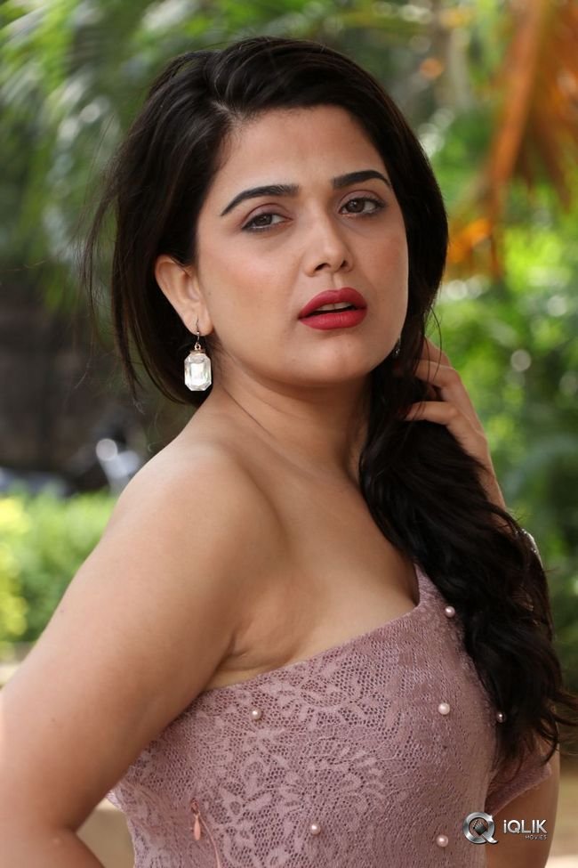 Ayesha-Singh-at-Yedu-Chepala-Katha-Movie-Prees-Meet